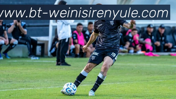 威尼斯人官网平台生态图